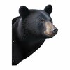 Next Innovations Peeking Black Bear 101156022
